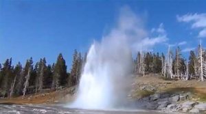 Yellowstone juin 2014