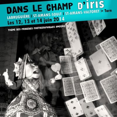 FESTIVAL PHOTOGRAPHIQUE "DANS LE CHAMP D'IRIS"