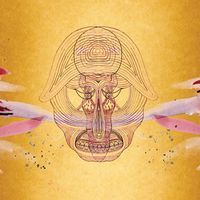 Nouvel album pour Devendra Banhart