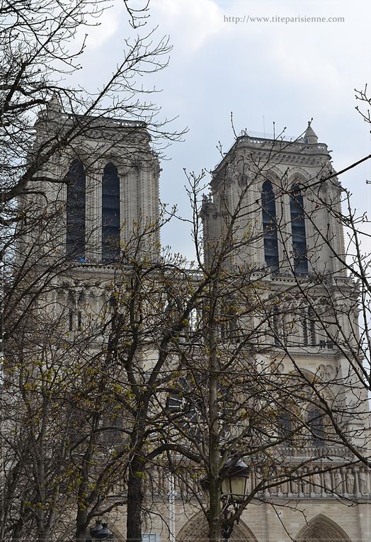 Notre-Dame de Paris et l'Île de la Cité