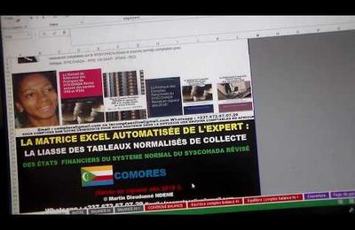 RÉPUBLIQUE DES COMORES : RECEVEZ LA MATRICE EXCEL AUTOMATISÉE DE L'EXPERT DE LA LIASSE DE COLLECTE DES ETATS FINANCIERS 