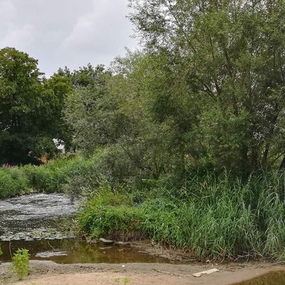 Jardin Jean-Marie Pelt - 12 juillet 2018
