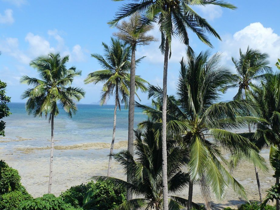 Album - Les-Philippines---Palawan