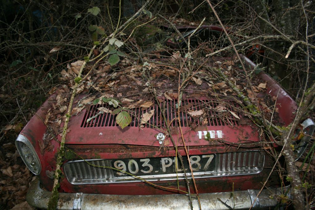 Album - Ancienne Casse auto abandonnee