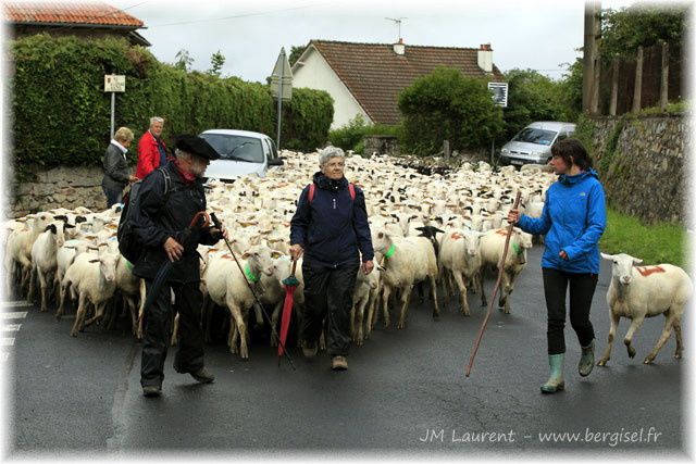 Album - Transhumance-stmamet