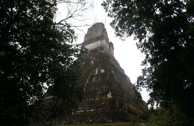 Tikal