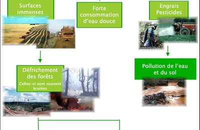 Les limites des biocarburants