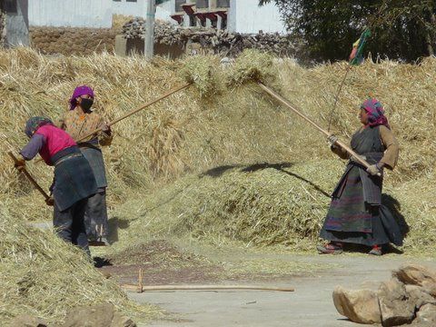 Album - Tibet-Friedship-highway