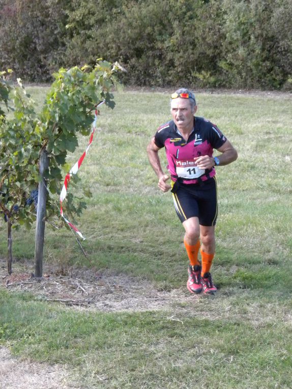 Petite boucle d'un circuit "trail" de 2,5 km à faire le plus de fois possible en 6 heures !!!