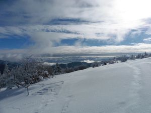 Au loin, le massif de la Lauzière. Plus proche, le Mont Colombier.