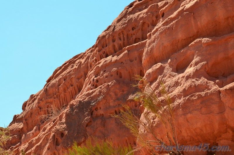 Quebrada de las Conchas - Los Colorados, Argentine en camping-car