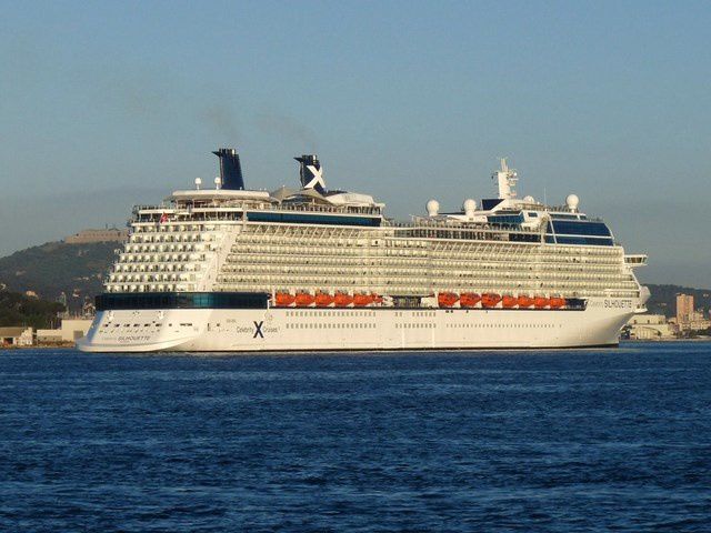 CELEBRITY SILHOUETTE