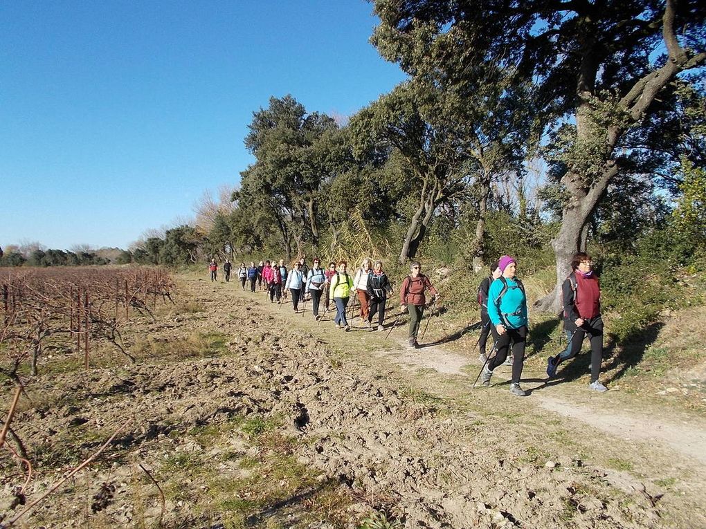Marche Nordique du mardi 1er décembre 2015