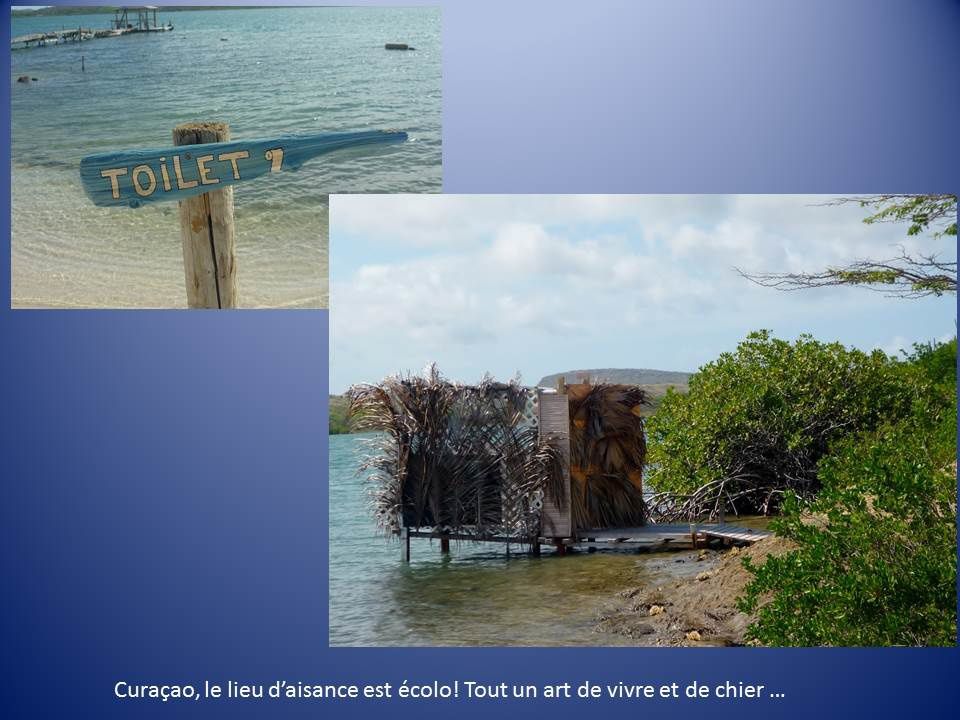 Cahier de bord : Curaçao de toutes les couleurs sauf le bleu… Bof, bof !