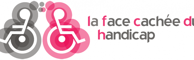 Suite article ' Diversités Handicaps '        Critères d'évaluations des Handicaps 