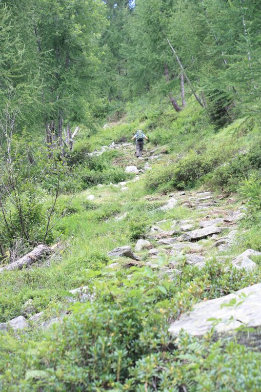 Foto dell'escursione al laghetto di Sfille da Cimalmotto (Vallemaggia) del 26.07.2010