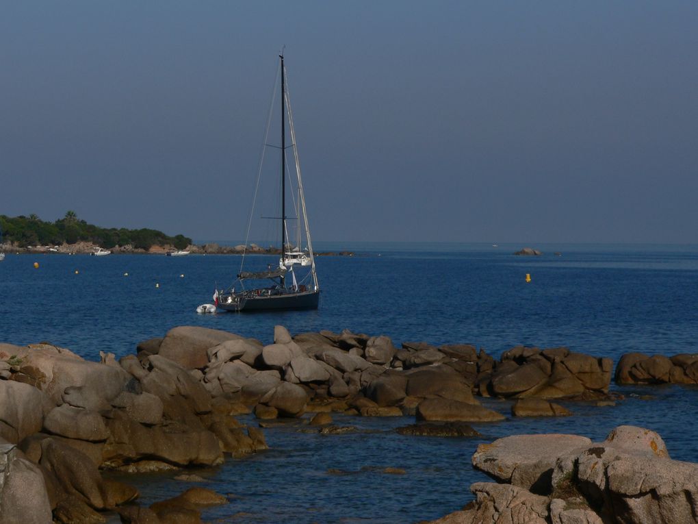 Des coins de la corse du sud