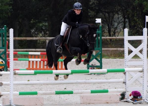 Quelques photos de Laure en concours avec Oxer de Candolle