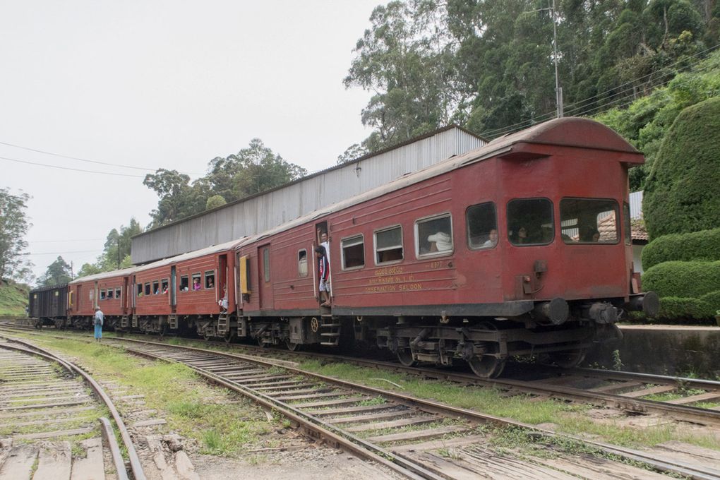 Sri Lanka : Le train à Ohiya