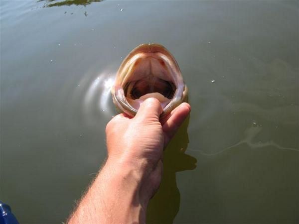 Quelques secondes volées aux poissons...