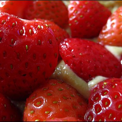 Fraises et cygnes : un doux mélange
