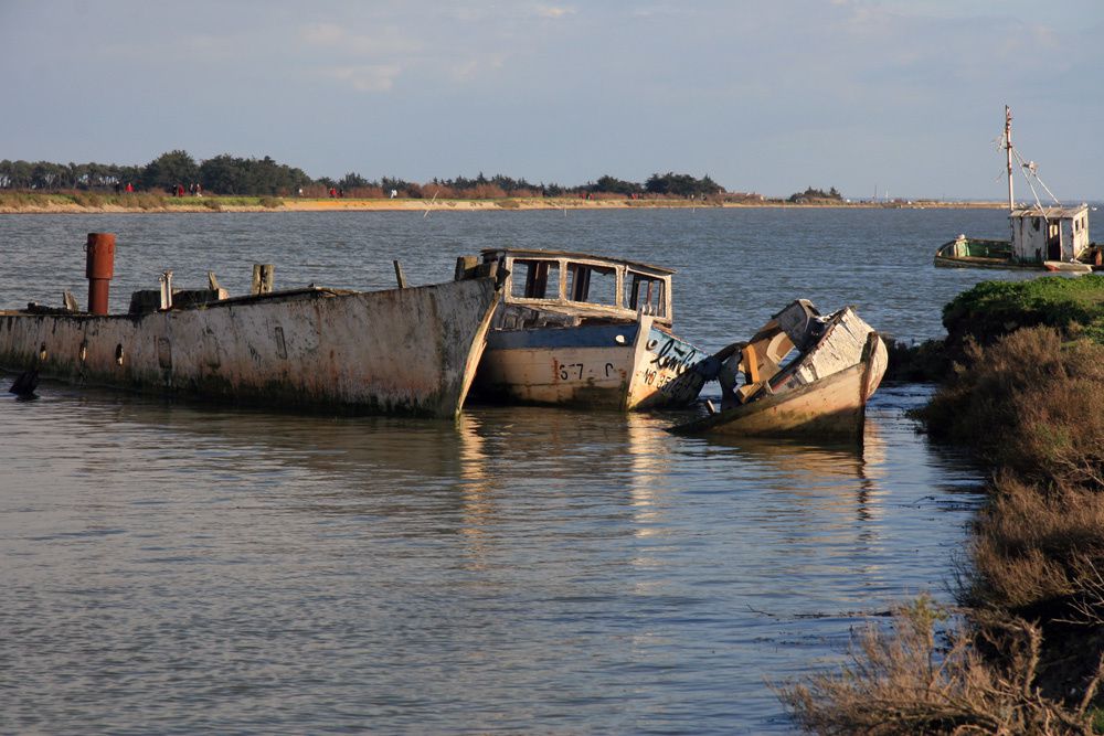 Album - Cimetière de bateaux à Noirmoutier