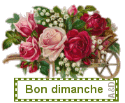 20 000 visites