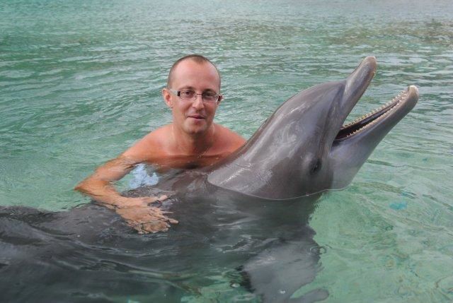 photos de dauphins en captivité à l'intercontental de Mooréa: idéal pour les enfants...