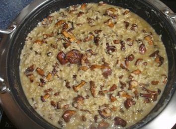 Risotto ai funghi cantarelli