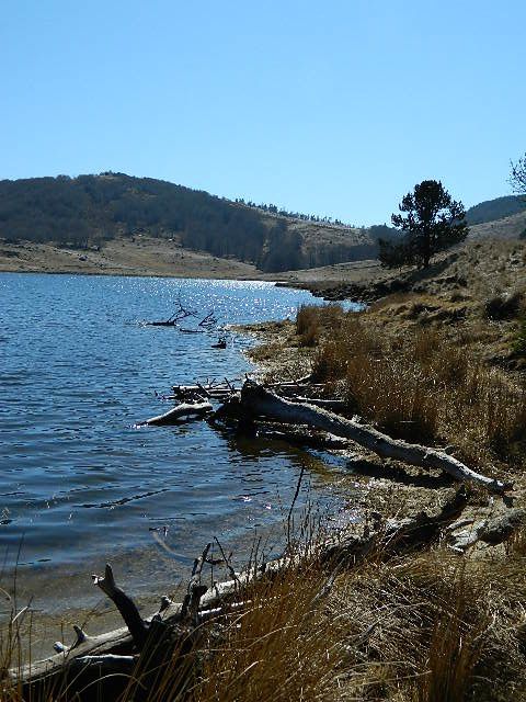 Le lac des pises entre le Vigan (gard) et le Mont Aigoual