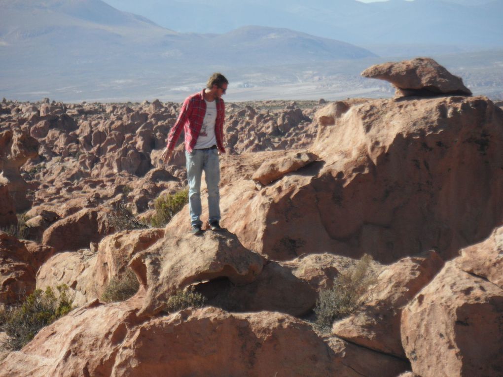 Album - Uyuni-et-ses-environs