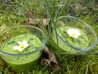 PLANTES SAUVAGES &amp; SMOOTHIE