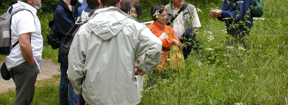 Balade naturaliste à la découverte des oiseaux nicheurs le 17 mai