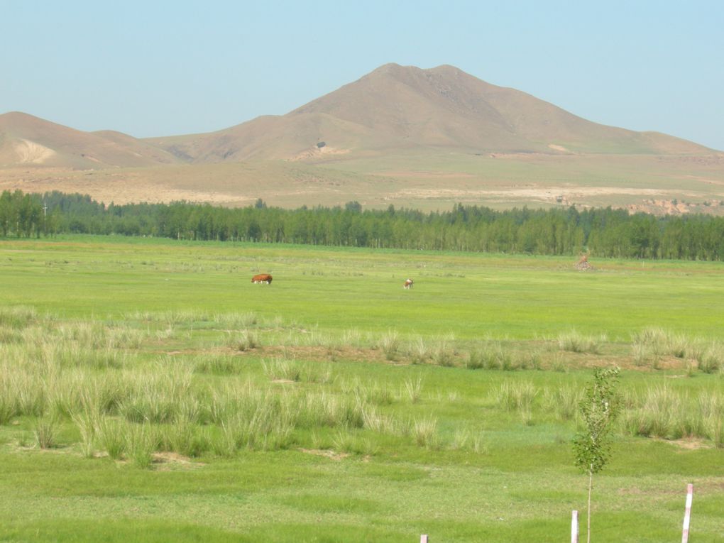 Nord-ouest du Hebei et Mongolie intérieure, mai 2013.
Mongolie intérieure et Mandchourie, été 2010