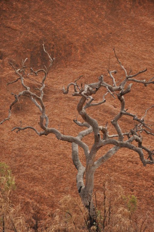 Album - Uluru &amp; Kata Tjuta