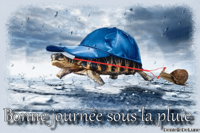 gif-animé-bonne-journée-sous-la-pluie-humour-avec-tortue-et-escargot