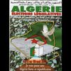 Législatives algériennes à Grande-Synthe - CLIP