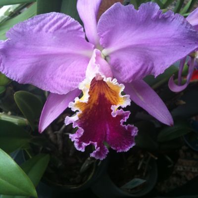 Quelques petits changements...