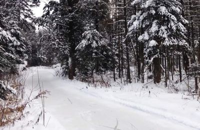 (Presque) Noël à Sherbrooke