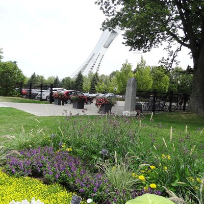 Le jardin botannique de Montréal