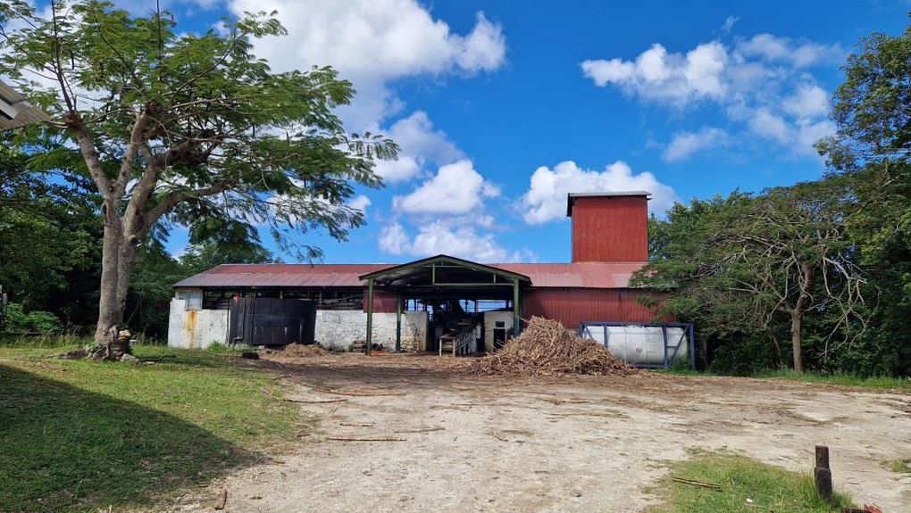 Escale à Marie-Galante (Guadeloupe) du 13 au 20 mars 2024