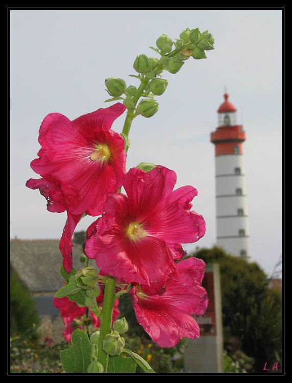 Album - bretagne-ete-2005