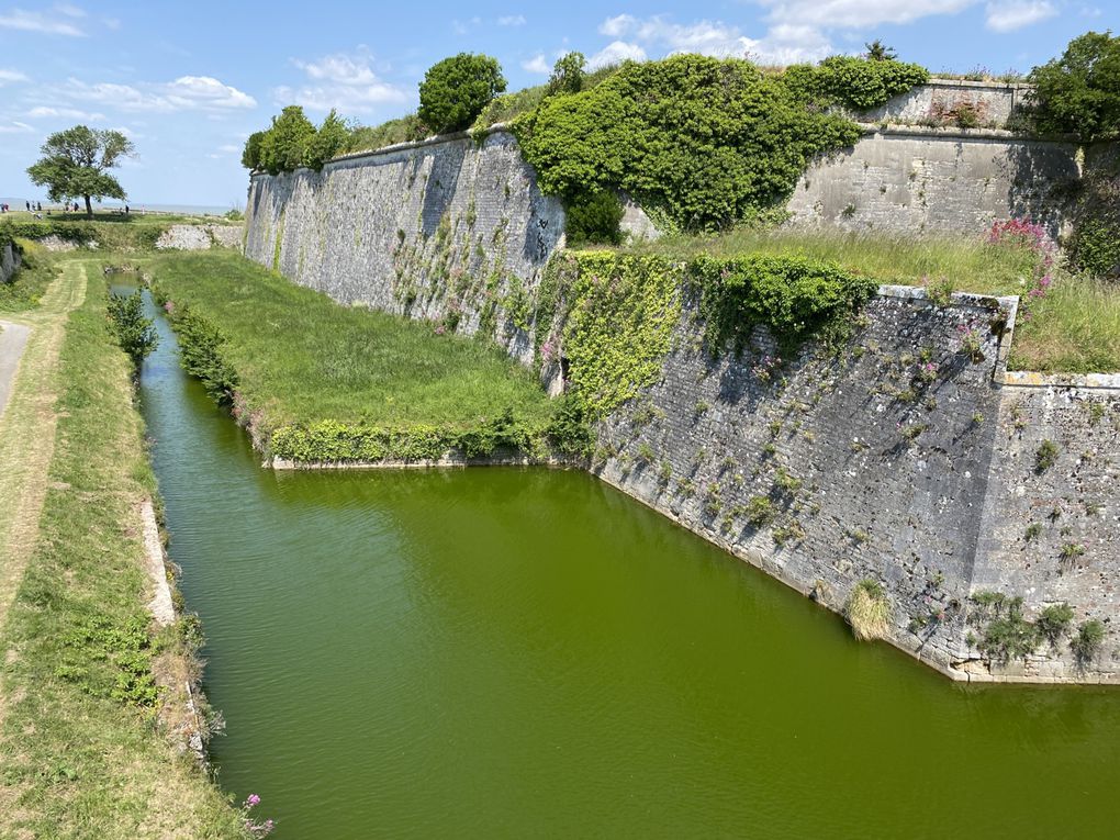 Visite de l'île d'Oléron en Charente