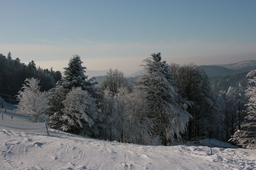 Photos prisent en hiver 2011
Canon 400D et 55/200mm de canon