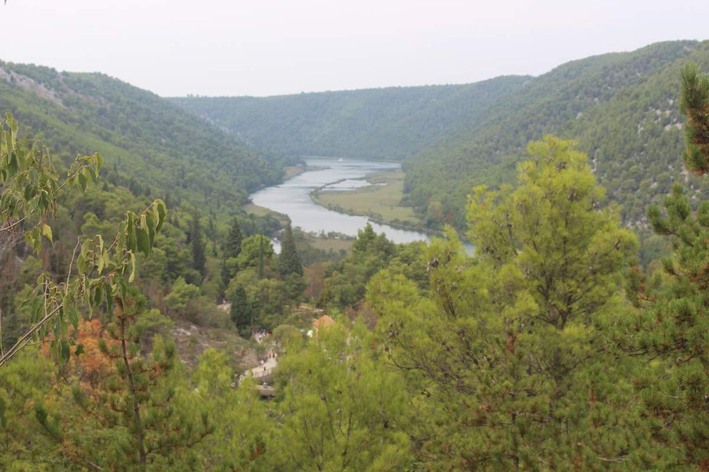 Nous verrons ensuite de l'eau, beaucoup d'eau, des canards, des poissons, des arbres, des fleurs sauvages et des visiteurs, croates, allemands, italiens, japonais, français et j'en passe !!!