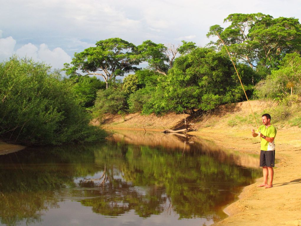 Le Brésil est grand, tout ne rentre pas dans un seul album!! Ici vous trouverez la fin de notre passage à Rio, puis les photos du Pantanal