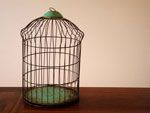Je fais des cages à oiseaux d'enculé !!!