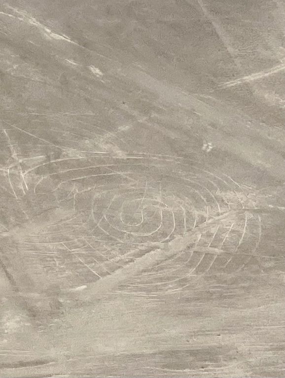 Les Llamitos à Nazca