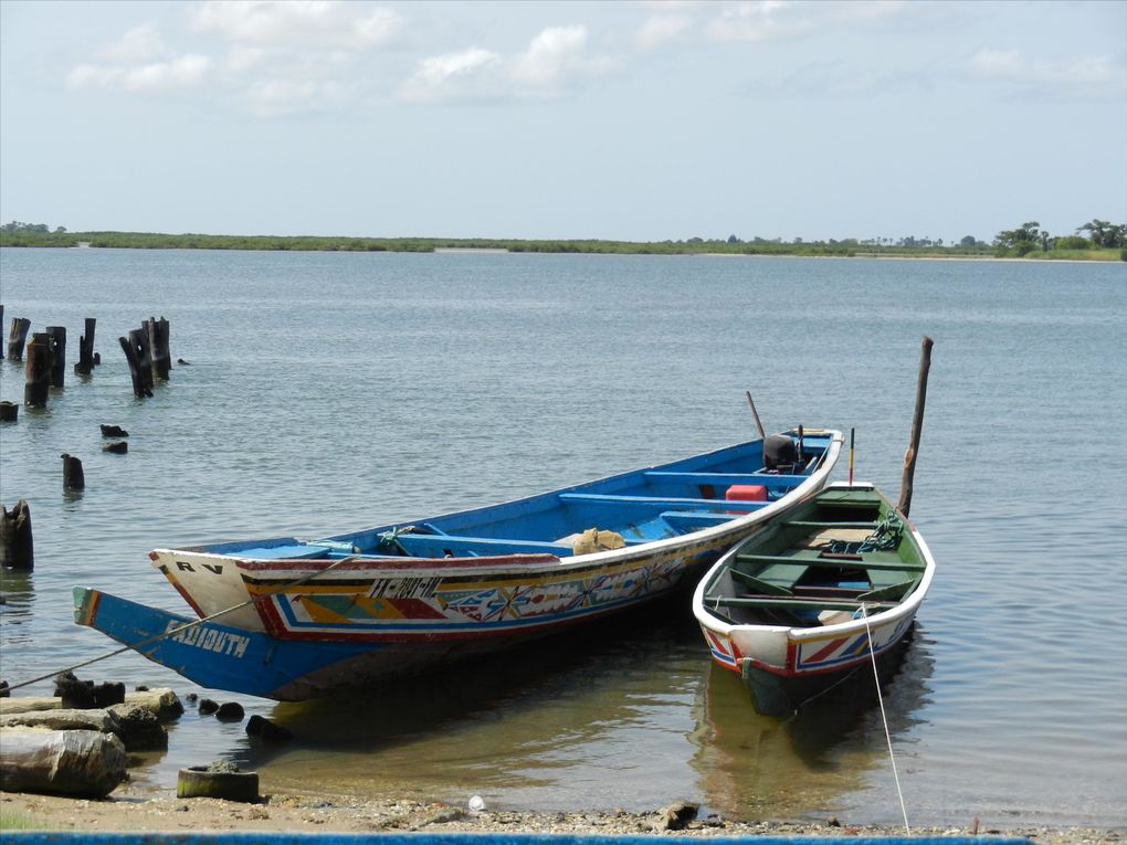 Album - Sud est du senegal (suite)