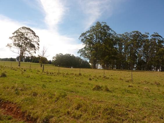 Album - 05.Walcha-Farm